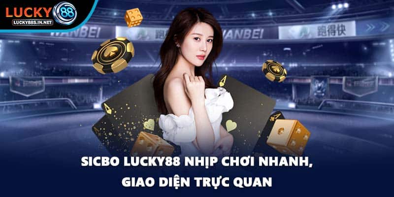 Sicbo Lucky88 nhịp chơi nhanh, giao diện trực quan