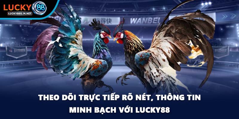 Theo dõi trực tiếp rõ nét, thông tin minh bạch với Lucky88
