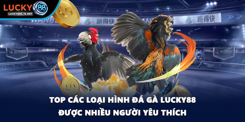 Top các loại hình đá gà Lucky88 được nhiều người yêu thích